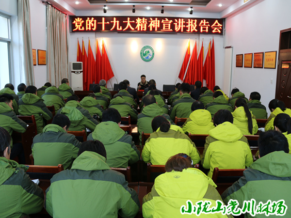 ᱨֳ